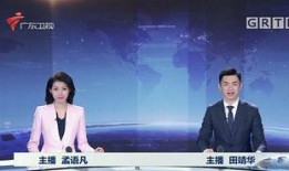 广东卫视新闻爆料方式,新闻爆料背后的真相与挑战