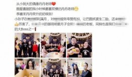 爆料大王媳妇视频大全,视频大全背后的故事与真相